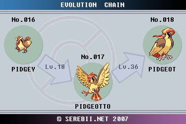 best pidgeot nature|pidgey pokemon evolution.